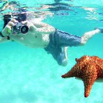 starfish_in_piscina_natural